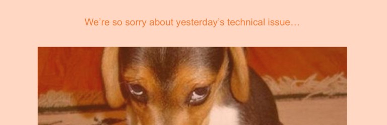 Sad puppy in a Magento 2 webinar